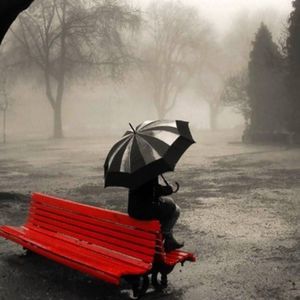 Meet your Posher, Ely